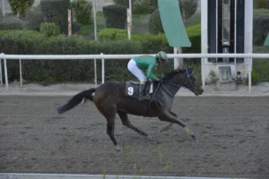 ΙΠΠΟΔΡΟΜΟΣ ΚΥΠΡΟΣ / IPPODROMOS KYPROS ΧΑΒΑΗ ΝΤΑΡΛΙΝΓΚ - 14/12/2025