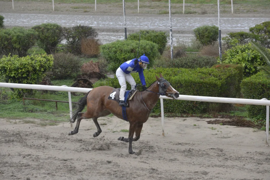ΙΠΠΟΔΡΟΜΟΣ ΚΥΠΡΟΣ / IPPODROMOS KYPROS ΑΡΤΕΜΙΔΑ - ΠΡΩΤΑΘΛΗΜΑ ΣΑΛΑΜΙΝΟΣ - 07/12/2025