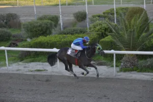 ΙΠΠΟΔΡΟΜΟΣ ΚΥΠΡΟΣ / IPPODROMOS KYPROS ΕΥΑΓΓΕΛΙΟΣ - 28/12/2025