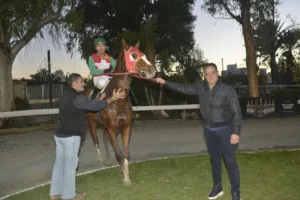 ΙΠΠΟΔΡΟΜΟΣ ΚΥΠΡΟΣ / IPPODROMOS KYPROS ΝΤΑΓΡΕΣ - 17/12/2025