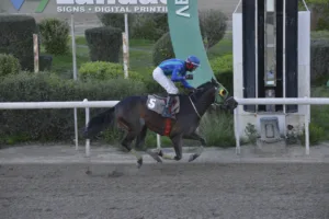 ΙΠΠΟΔΡΟΜΟΣ ΚΥΠΡΟΣ / IPPODROMOS KYPROS ΕΥΑΓΓΕΛΙΟΣ - 28/12/2025