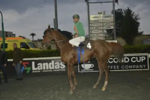 ΙΠΠΟΔΡΟΜΟΣ ΚΥΠΡΟΣ / IPPODROMOS KYPROS ΧΑΒΑΗ ΤΖΕΝΕΡΑΛ - 21/12/2025