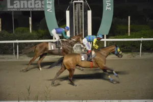 ΙΠΠΟΔΡΟΜΟΣ ΚΥΠΡΟΣ / IPPODROMOS KYPROS ΤΣΑΜΠ - 17/12/2025