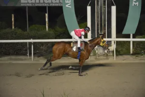 ΙΠΠΟΔΡΟΜΟΣ ΚΥΠΡΟΣ / IPPODROMOS KYPROS ΝΟΡΜΑΝΤΙ - 12/12/2025