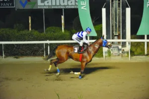 ΙΠΠΟΔΡΟΜΟΣ ΚΥΠΡΟΣ / IPPODROMOS KYPROS ΣΑΠΙΑΝΚΟΜΟΝΟΚΟΡΥΦΗ - 03/12/2025