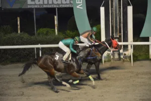 ΙΠΠΟΔΡΟΜΟΣ ΚΥΠΡΟΣ / IPPODROMOS KYPROS ΤΟΥΤΑΓΧΑΜΩΝ - 21/12/2025