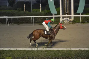 ΙΠΠΟΔΡΟΜΟΣ ΚΥΠΡΟΣ / IPPODROMOS KYPROS ΣΑΝΤΗ ΛΟΥΤΣΙΑΝΟ - ΚΡΙΤΗΡΙΟ ΔΙΕΤΩΝ 26/12/2025