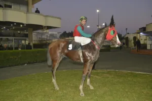 ΙΠΠΟΔΡΟΜΟΣ ΚΥΠΡΟΣ / IPPODROMOS KYPROS ΣΑΝΤΗ ΛΟΥΤΣΙΑΝΟ - ΚΡΙΤΗΡΙΟ ΔΙΕΤΩΝ 26/12/2025