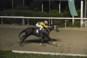 ΙΠΠΟΔΡΟΜΟΣ ΚΥΠΡΟΣ / IPPODROMOS KYPROS ΚΙΜΠΑΣ - 28/12/2025