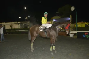 ΙΠΠΟΔΡΟΜΟΣ ΚΥΠΡΟΣ / IPPODROMOS KYPROS ΦΑΝΟΥΡΗΣ - 26/12/2025