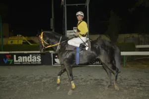 ΙΠΠΟΔΡΟΜΟΣ ΚΥΠΡΟΣ / IPPODROMOS KYPROS ΚΙΜΠΑΣ - 28/12/2025