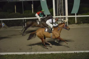 ΙΠΠΟΔΡΟΜΟΣ ΚΥΠΡΟΣ / IPPODROMOS KYPROS ΕΡΟΡΑ - 12/12/2025