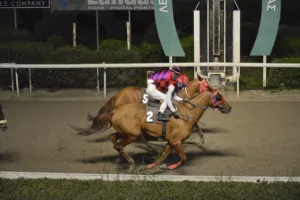 ΙΠΠΟΔΡΟΜΟΣ ΚΥΠΡΟΣ / IPPODROMOS KYPROS ΓΟΥΙΣΠΕΡΙΝΓΚ ΕΙΝΤΖΕΛ - 28/12/2025