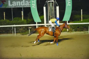 ΙΠΠΟΔΡΟΜΟΣ ΚΥΠΡΟΣ / IPPODROMOS KYPROS ΓΛΥΚΕΙΑ ΕΛΕΝΑ - 03/12/2025