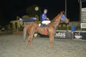 ΙΠΠΟΔΡΟΜΟΣ ΚΥΠΡΟΣ / IPPODROMOS KYPROS ΣΤΕΝΤΟΡΙΑΝ - 14/12/2025