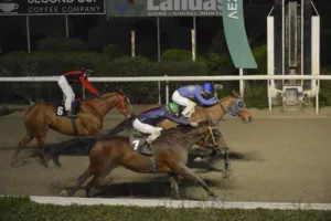 ΙΠΠΟΔΡΟΜΟΣ ΚΥΠΡΟΣ / IPPODROMOS KYPROS ΑΜΥΘΗΤΗ - 28/12/2025