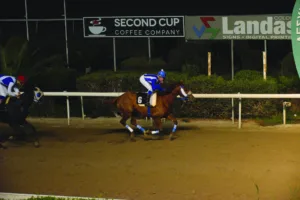 ΙΠΠΟΔΡΟΜΟΣ ΚΥΠΡΟΣ / IPPODROMOS KYPROS ΕΠΙΛΟΓΗ - 03/12/2025