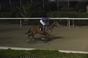 ΙΠΠΟΔΡΟΜΟΣ ΚΥΠΡΟΣ / IPPODROMOS KYPROS ΚΑΨΙΔΕΡΟΣ - ΕΠΙΧΟΡΗΓΗΜΕΝΗ ΑΝΔΡΕΑ ΚΥΠΡΙΑΝΟΥ - 26/12/2025