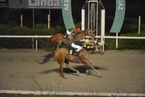 ΙΠΠΟΔΡΟΜΟΣ ΚΥΠΡΟΣ / IPPODROMOS KYPROS ΠΑΝΤΕΛΗΣ ΤΣΙΗΦ - 21/12/2025