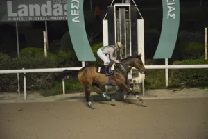 ΙΠΠΟΔΡΟΜΟΣ ΚΥΠΡΟΣ / IPPODROMOS KYPROS ΒΙΤΤΗΣ ΚΑΣΤΡΟΣ - 17/12/2025