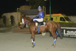 ΙΠΠΟΔΡΟΜΟΣ ΚΥΠΡΟΣ / IPPODROMOS KYPROS ΕΠΙΛΟΓΗ - 03/12/2025