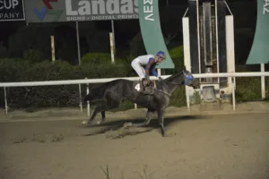 ΙΠΠΟΔΡΟΜΟΣ ΚΥΠΡΟΣ / IPPODROMOS KYPROS ΜΠΛΑΚ ΜΑΜΠ - 14/12/2025