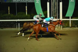 ΙΠΠΟΔΡΟΜΟΣ ΚΥΠΡΟΣ / IPPODROMOS KYPROS ΛΕΞΕΚΟ ΒΕΝΤΣΙΑΡ - 03/12/2025