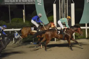 ΙΠΠΟΔΡΟΜΟΣ ΚΥΠΡΟΣ / IPPODROMOS KYPROS ΜΕΛΑΧΡΙΝΟΣ - 17/12/2025