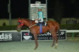 ΙΠΠΟΔΡΟΜΟΣ ΚΥΠΡΟΣ / IPPODROMOS KYPROS ΛΕΞΕΚΟ ΒΕΝΤΣΙΑΡ - 03/12/2025