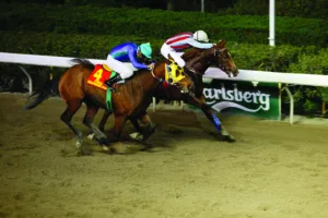 ΙΠΠΟΔΡΟΜΟΣ ΚΥΠΡΟΣ / IPPODROMOS KYPROS