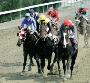 ΙΠΠΟΔΡΟΜΟΣ ΚΥΠΡΟΣ / IPPODROMOS KYPROS