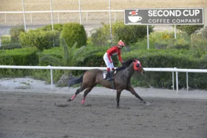 ΙΠΠΟΔΡΟΜΟΣ ΚΥΠΡΟΣ / IPPODROMOS KYPROS