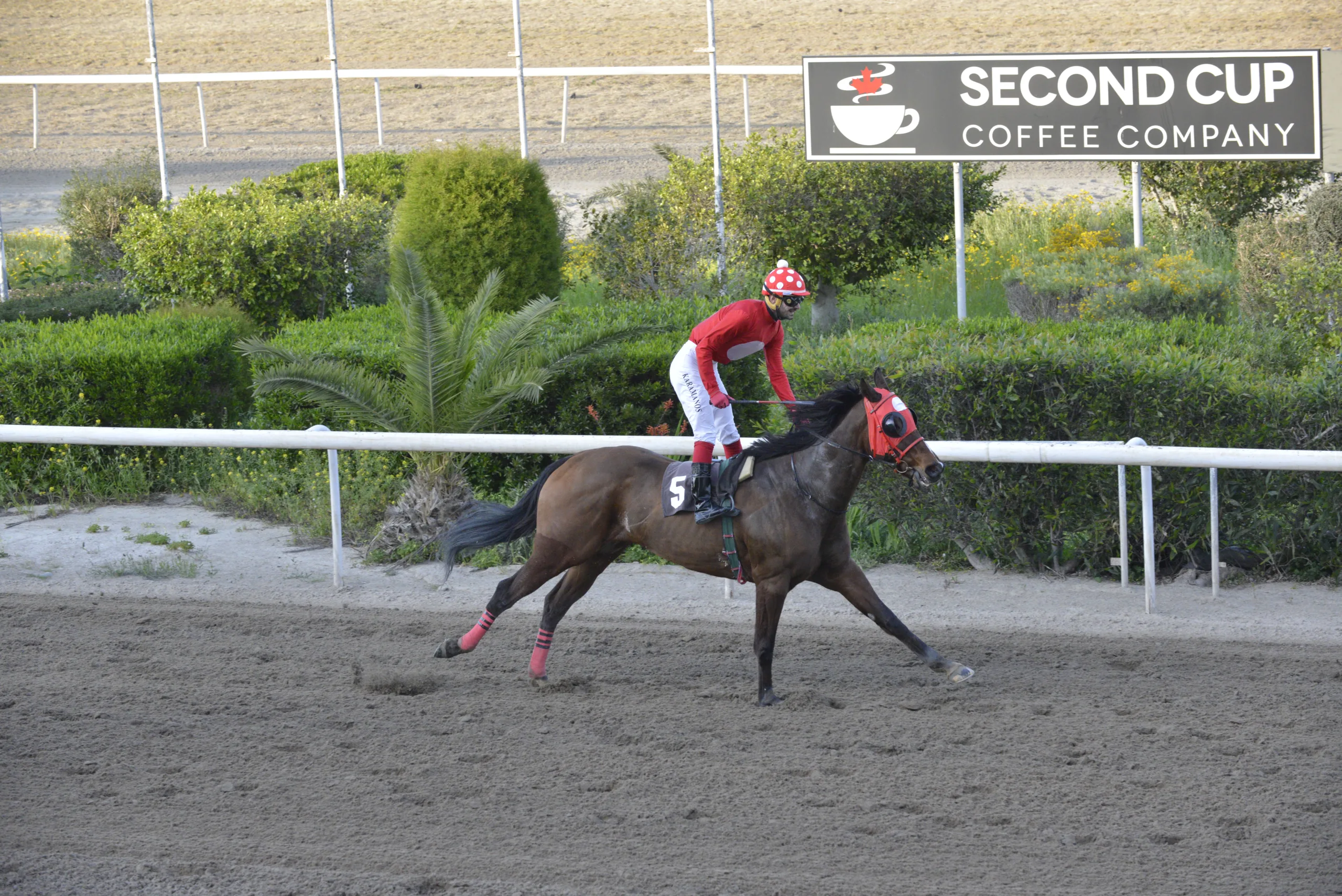 ΙΠΠΟΔΡΟΜΟΣ ΚΥΠΡΟΣ / IPPODROMOS KYPROS