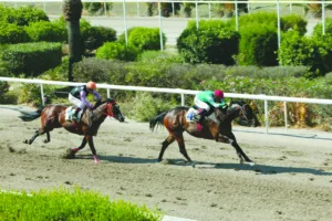 ΙΠΠΟΔΡΟΜΟΣ ΚΥΠΡΟΣ / IPPODROMOS KYPROS