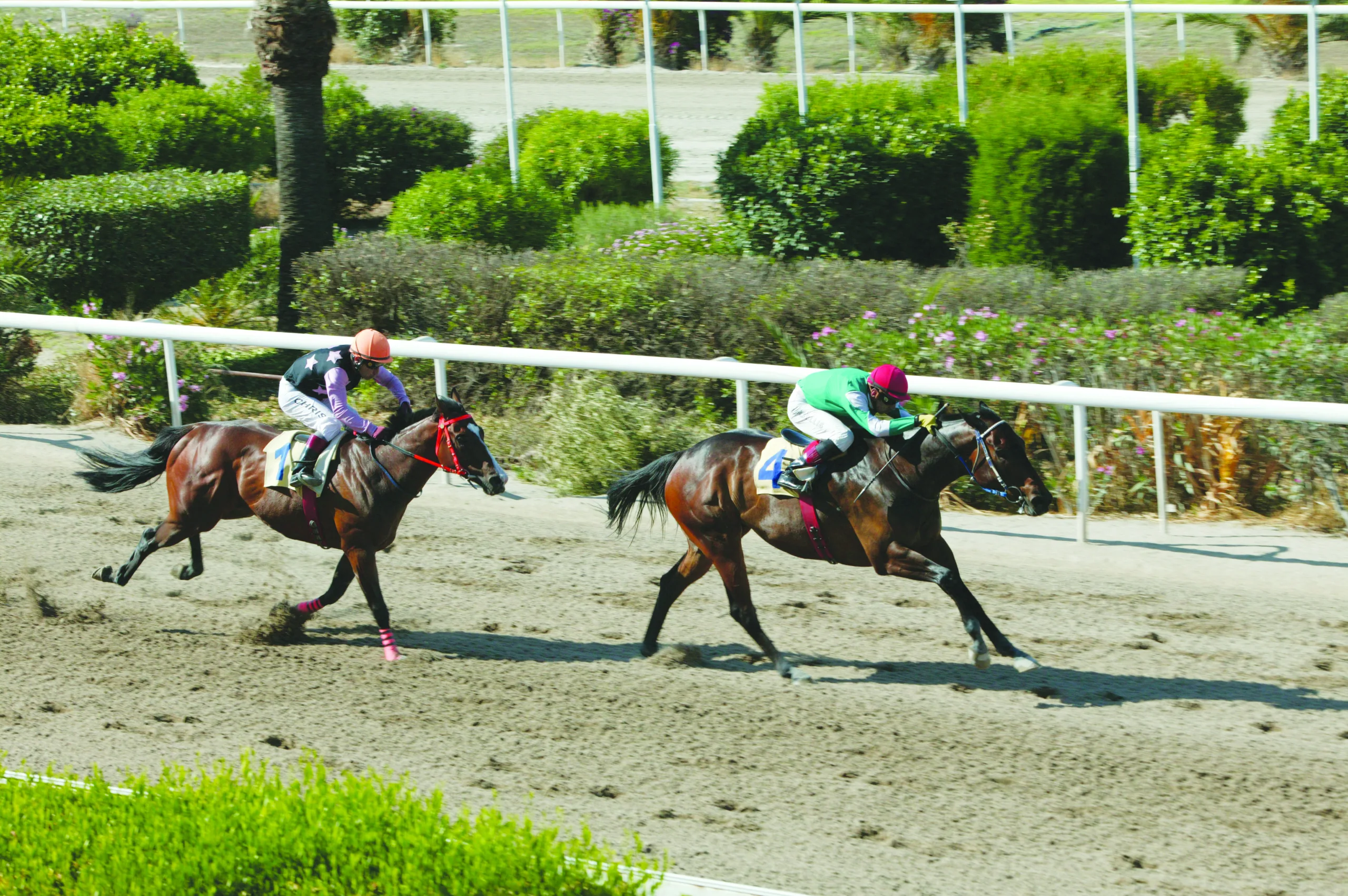 ΙΠΠΟΔΡΟΜΟΣ ΚΥΠΡΟΣ / IPPODROMOS KYPROS