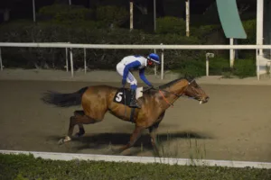 ΙΠΠΟΔΡΟΜΟΣ ΚΥΠΡΟΣ / IPPODROMOS KYPROS