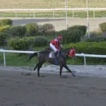 ΙΠΠΟΔΡΟΜΟΣ ΚΥΠΡΟΣ / IPPODROMOS KYPROS