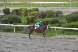 ΙΠΠΟΔΡΟΜΟΣ ΚΥΠΡΟΣ / IPPODROMOS KYPROS ΝΤΑΗΑΜΟΝΤ ΙΑΣΩΝΑΣ - 28/01/2028