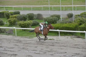 ΙΠΠΟΔΡΟΜΟΣ ΚΥΠΡΟΣ / IPPODROMOS KYPROS ΛΟΡΤ ΒΟΛΝΤΕΜΟΡΤ - 18.01.2026