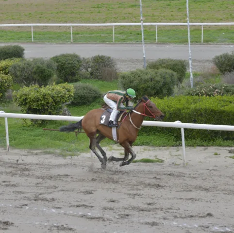 ΙΠΠΟΔΡΟΜΟΣ ΚΥΠΡΟΣ / IPPODROMOS KYPROS ΛΟΡΤ ΒΟΛΝΤΕΜΟΡΤ - 18.01.2026