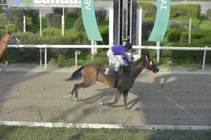 ΙΠΠΟΔΡΟΜΟΣ ΚΥΠΡΟΣ / IPPODROMOS KYPROS ΨΗΛΟΣ - 25/01/2026