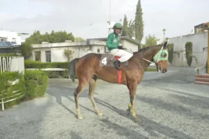 ΙΠΠΟΔΡΟΜΟΣ ΚΥΠΡΟΣ / IPPODROMOS KYPROS ΝΤΑΗΑΜΟΝΤ ΙΑΣΩΝΑΣ - 28/01/2028