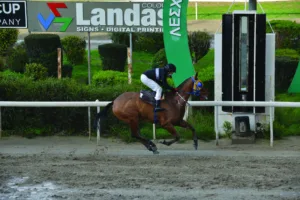 ΙΠΠΟΔΡΟΜΟΣ ΚΥΠΡΟΣ / IPPODROMOS KYPROS ΜΠΙΓΚ ΜΠΡΑΟΥΝ - 11.01.2026