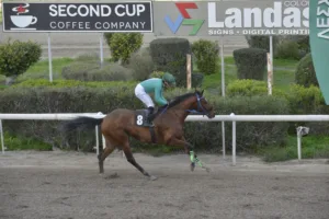 ΙΠΠΟΔΡΟΜΟΣ ΚΥΠΡΟΣ / IPPODROMOS KYPROS ΧΑΒΑΗ ΑΦΕΑΡ - 1/1/2026