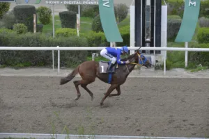 ΙΠΠΟΔΡΟΜΟΣ ΚΥΠΡΟΣ / IPPODROMOS KYPROS ΙΠΠΟΔΡΟΜΟΣ ΚΥΠΡΟΣ / IPPODROMOS KYPROS ΡΕΝΤ ΝΤΑΗΑΜΟΝΤ - 4/1/2026