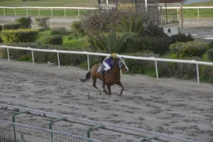 ΙΠΠΟΔΡΟΜΟΣ ΚΥΠΡΟΣ / IPPODROMOS KYPROS ΒΙΤΤΗΣ ΤΙΤΑΝΑΣ - 28/01/2028