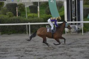 ΙΠΠΟΔΡΟΜΟΣ ΚΥΠΡΟΣ / IPPODROMOS KYPROS ΒΙΤΤΗΣ ΤΙΤΑΝΑΣ - 28/01/2028