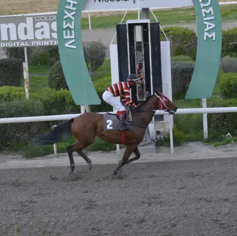 ΙΠΠΟΔΡΟΜΟΣ ΚΥΠΡΟΣ / IPPODROMOS KYPROS ΧΑΠΠΥ ΛΟΥ - 16.01.2026