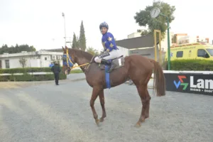 ΙΠΠΟΔΡΟΜΟΣ ΚΥΠΡΟΣ / IPPODROMOS KYPROS ΙΠΠΟΔΡΟΜΟΣ ΚΥΠΡΟΣ / IPPODROMOS KYPROS ΡΕΝΤ ΝΤΑΗΑΜΟΝΤ - 4/1/2026