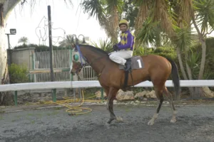 ΙΠΠΟΔΡΟΜΟΣ ΚΥΠΡΟΣ / IPPODROMOS KYPROS ΒΙΤΤΗΣ ΤΙΤΑΝΑΣ - 28/01/2028